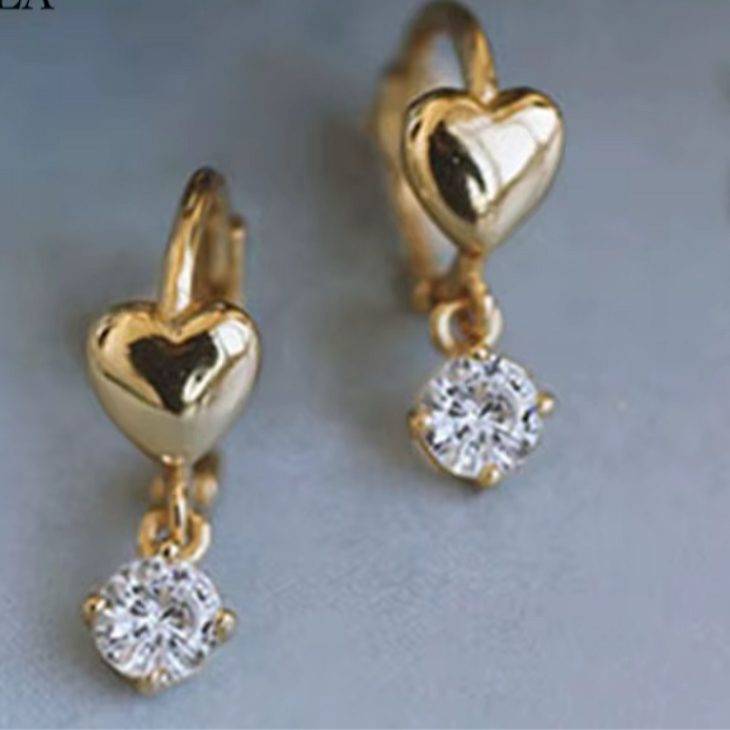 Aphro Heart Earrings